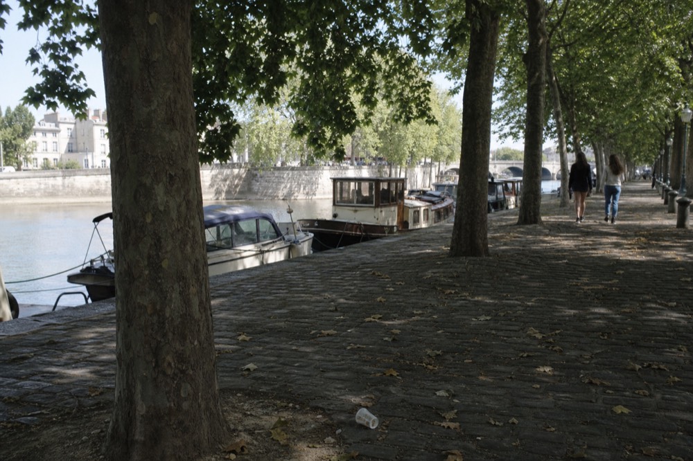 A tree-lined Seine quay in Paris with moored boats along the stone embankment, no text, no logos, no people