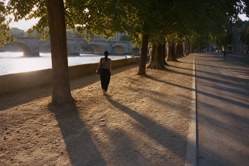 Sunlit Seine water with a stone bridge and riverside trees in Paris, no text, no logos, no people