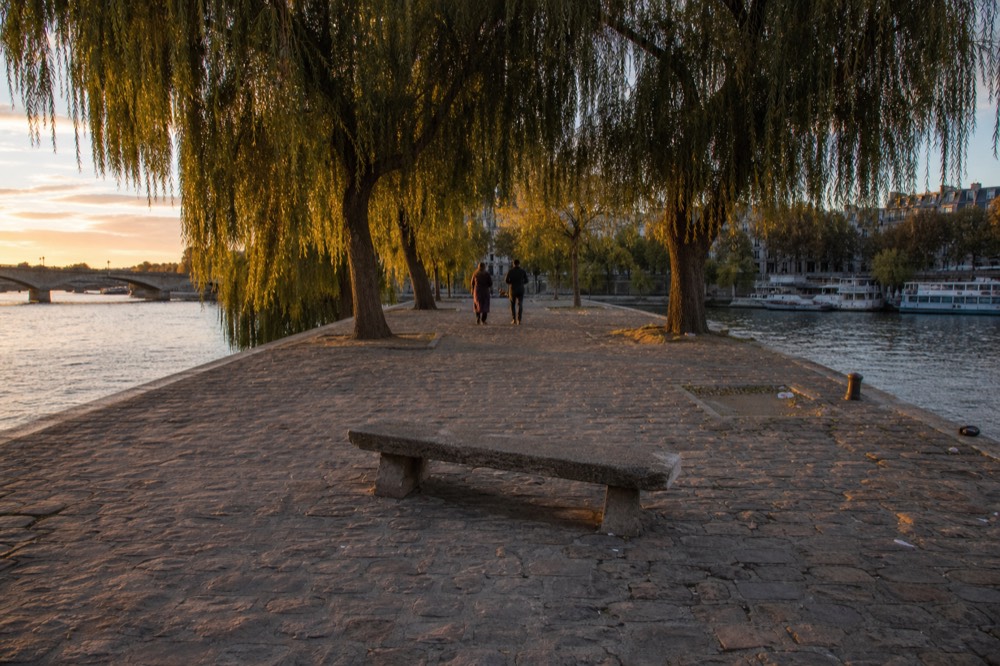 Square du Vert-Galant park at the tip of Ile de la Cite at sunset, no text, no logos, no people